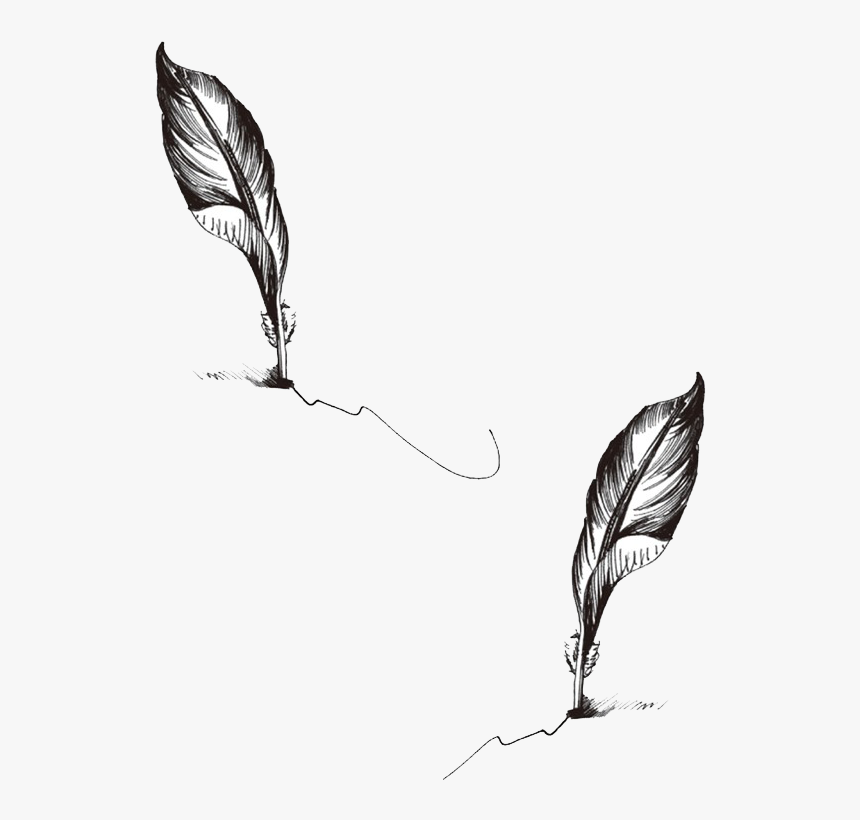 Peacock Feather Tattoos Png, Transparent Png, Free Download