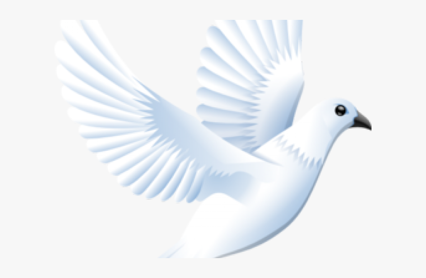 Transparent Funeral Dove Clipart - Put All In God's Hands, HD Png Download, Free Download