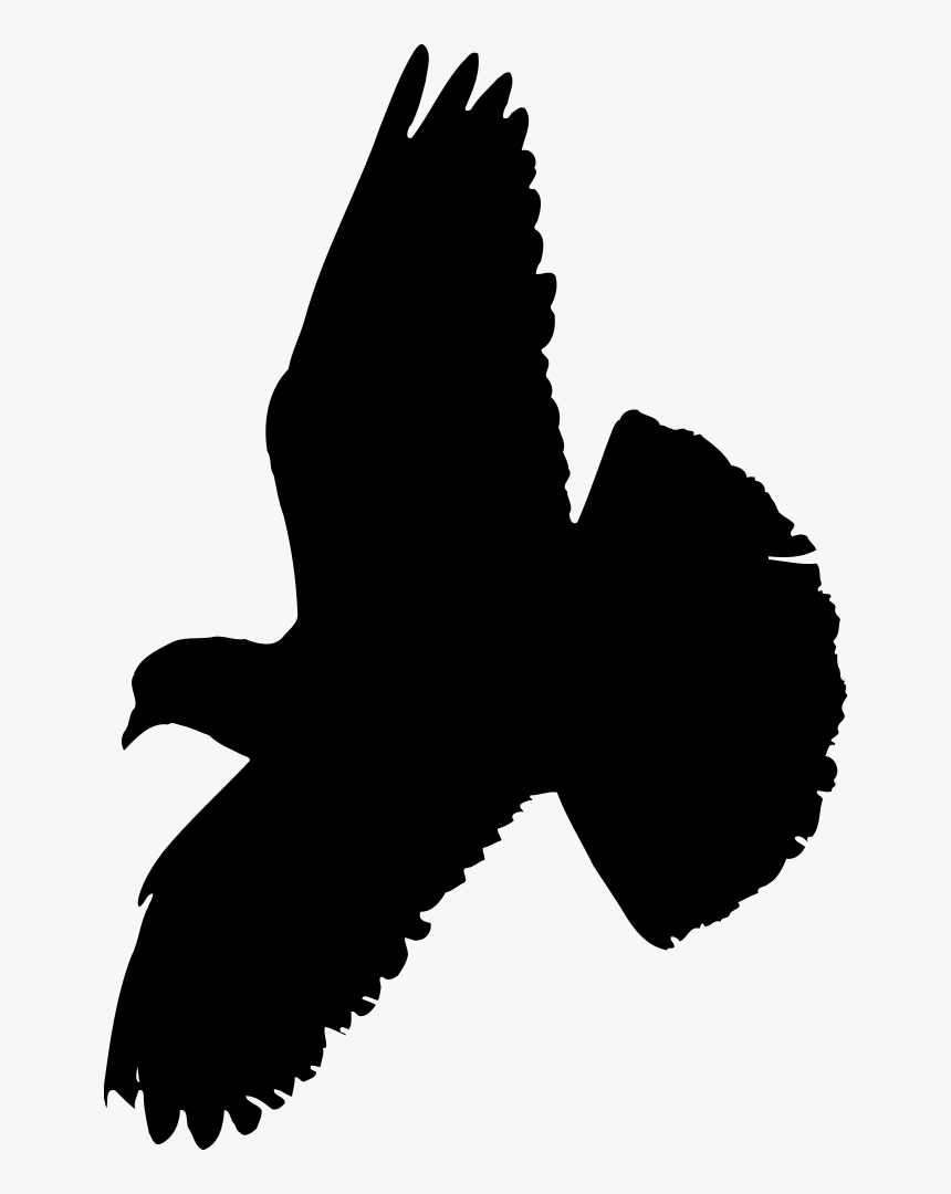 Pigeon - Pigeon Silhouette Pigeon Vector Png, Transparent Png, Free Download