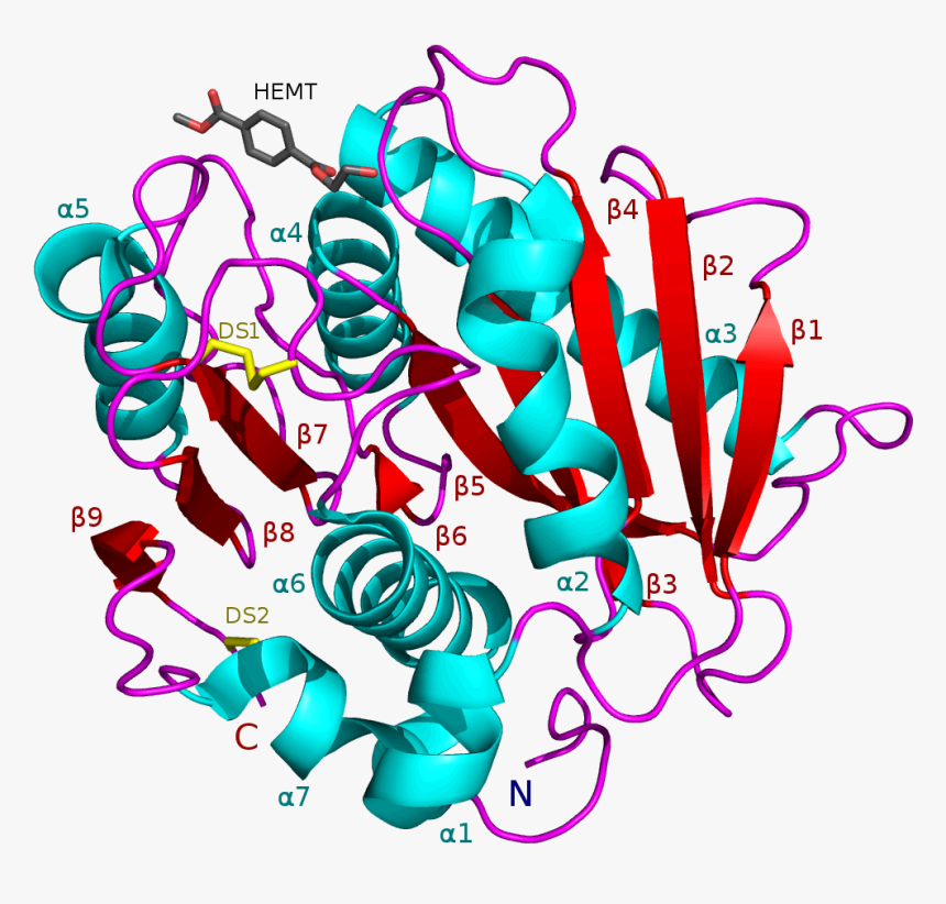 Petase 5xh3 With Hemt-cartoon - Mutant Enzyme Eats Plastic, HD Png Download, Free Download