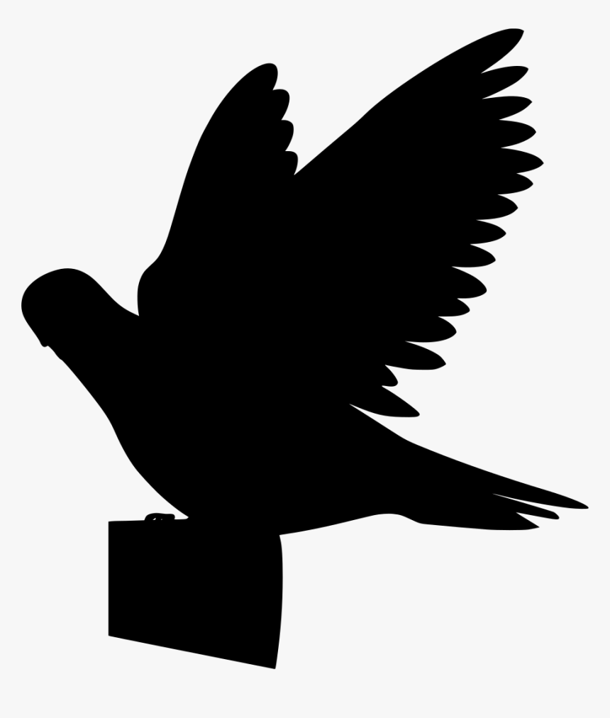 Flying Pigeon Clipart, HD Png Download, Free Download