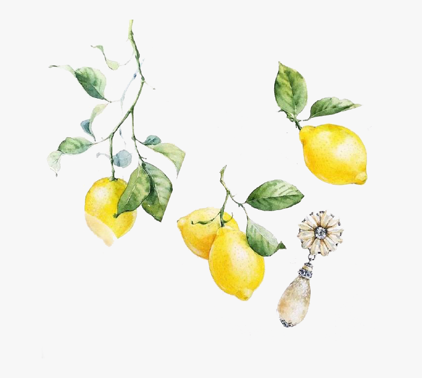 Lemon Clipart Watercolor - Watercolor Lemon Free Png, Transparent Png, Free Download