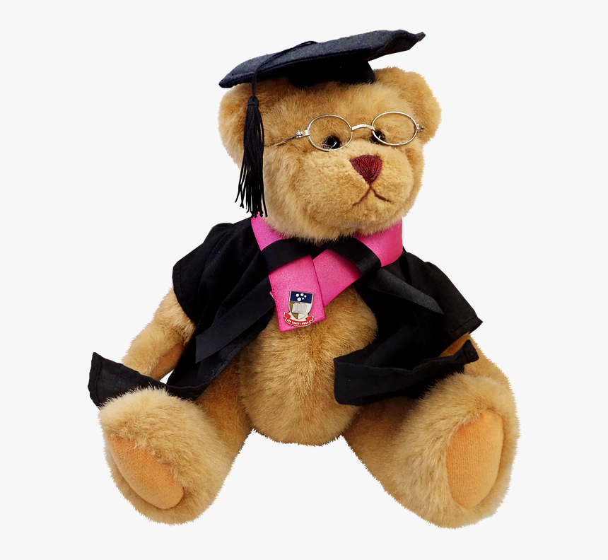 Teddy, Bear, Cute, Toy, Professor, Education, Teaching - Stuffed Toy, HD Png Download, Free Download