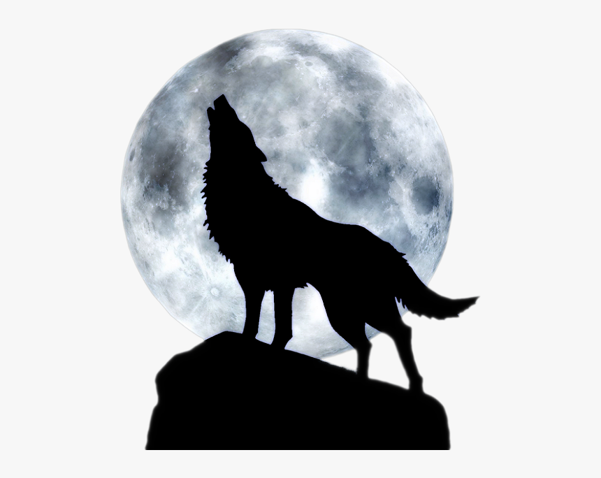 Dog Full Moon T-shirt Black Wolf - Wolf Howling Moon Png, Transparent Png, Free Download