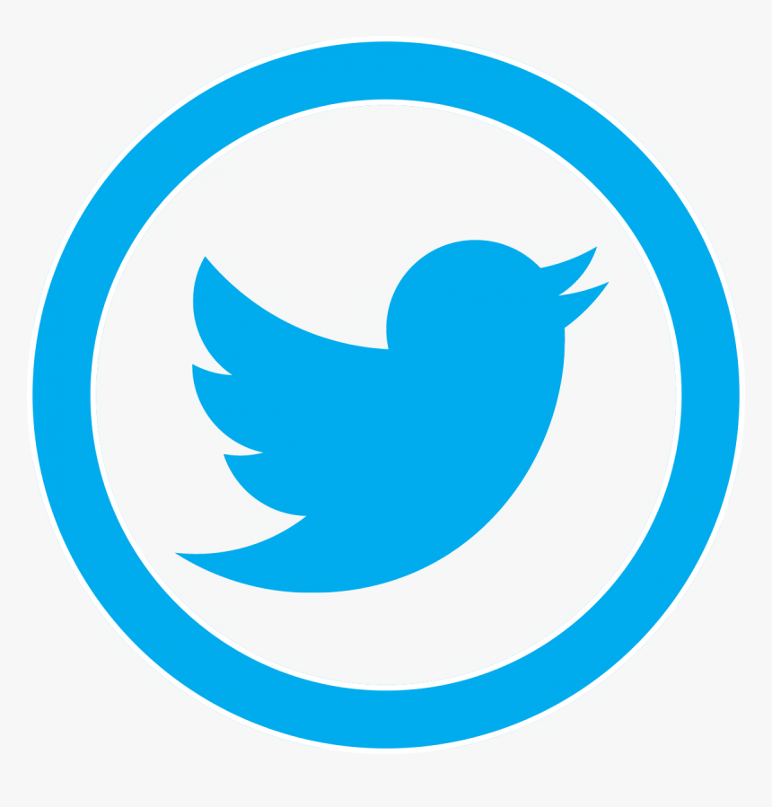 Grey Twitter Bird Png, Transparent Png, Free Download
