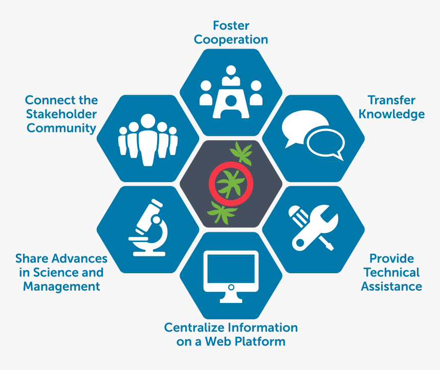 Ibm Design Thinking Loop, HD Png Download, Free Download