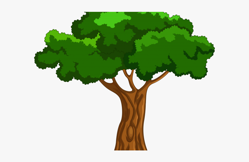 Banyan Tree Clipart Hd Wallpaper - Transparent Background Tree Clipart, HD Png Download, Free Download
