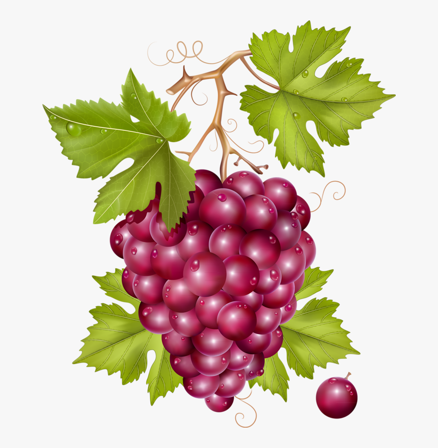 Grape, HD Png Download, Free Download