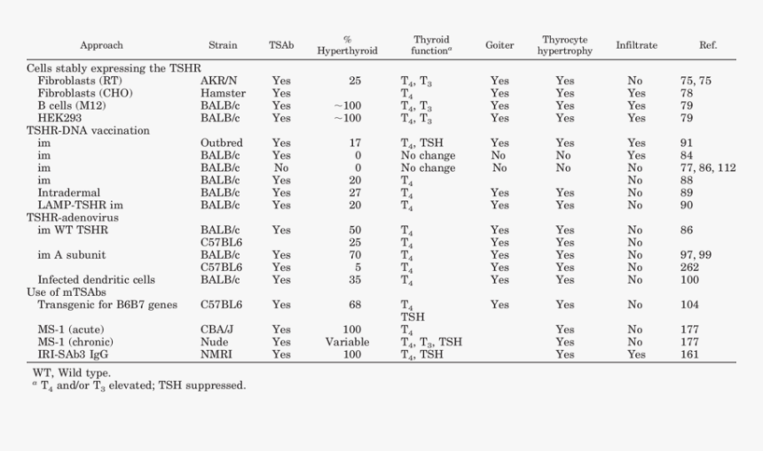 Derivative Table, HD Png Download, Free Download