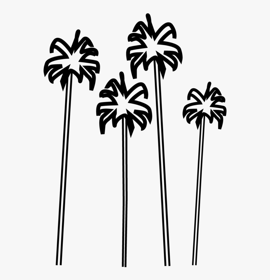 Sabal Palmetto, HD Png Download, Free Download