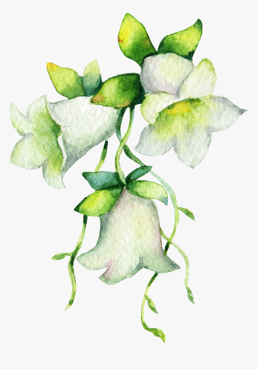Lily Of The Valley , Png Download - Garden Roses, Transparent Png, Free Download