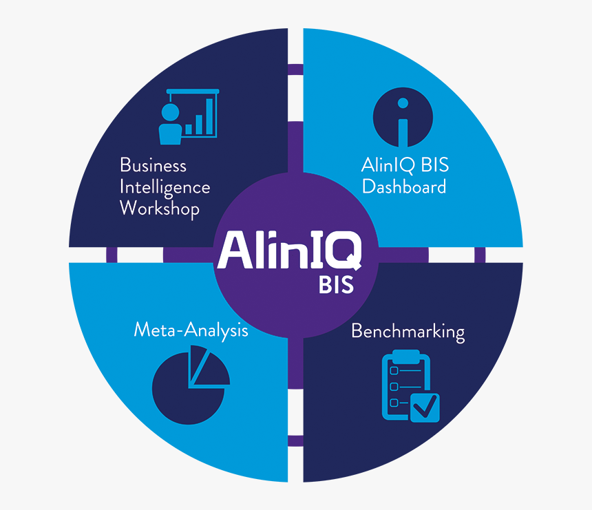Aliniq Business Intelligence System Wheel Image - Aliniq Cds, HD Png Download, Free Download