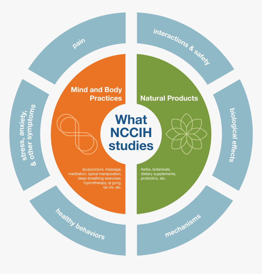 This Graphic Depicts Two Priority Areas Covering What - Nccih Studies, HD Png Download, Free Download