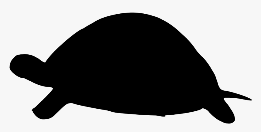 Save Png Turtle - Outline Of A Turtle, Transparent Png, Free Download
