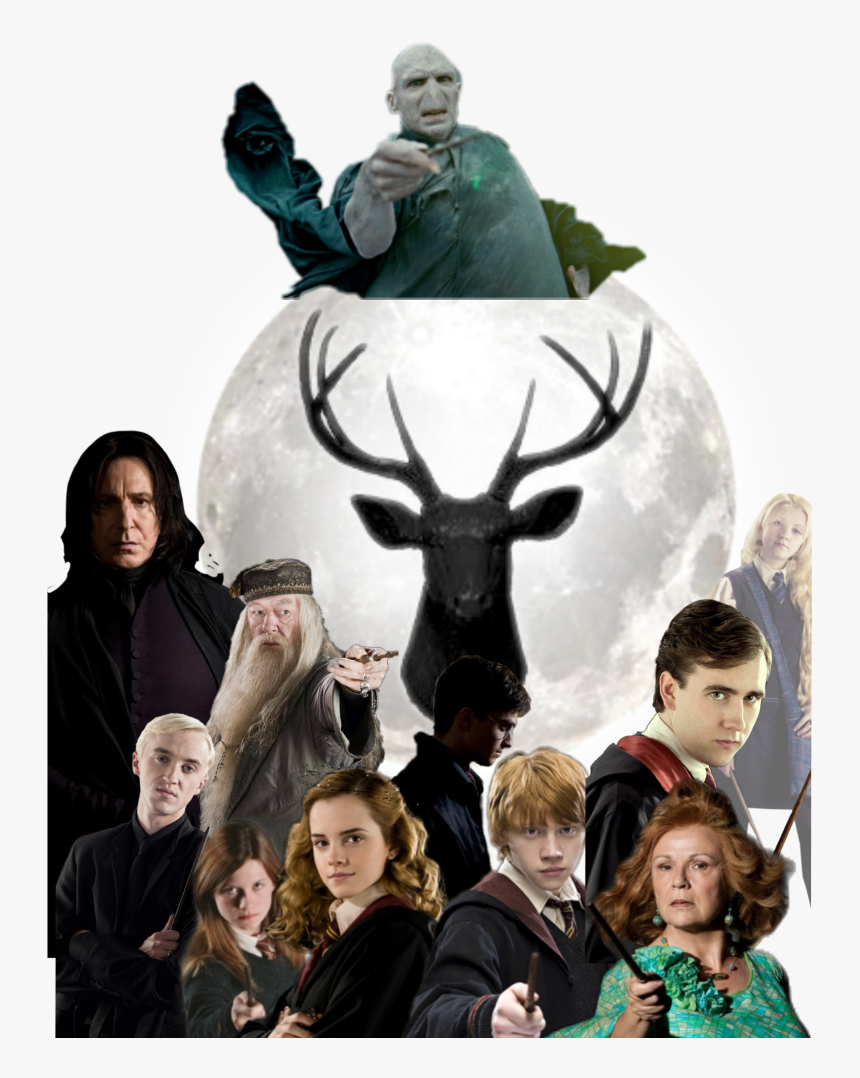 #harry Potter Characters - Ron Weasley, HD Png Download, Free Download