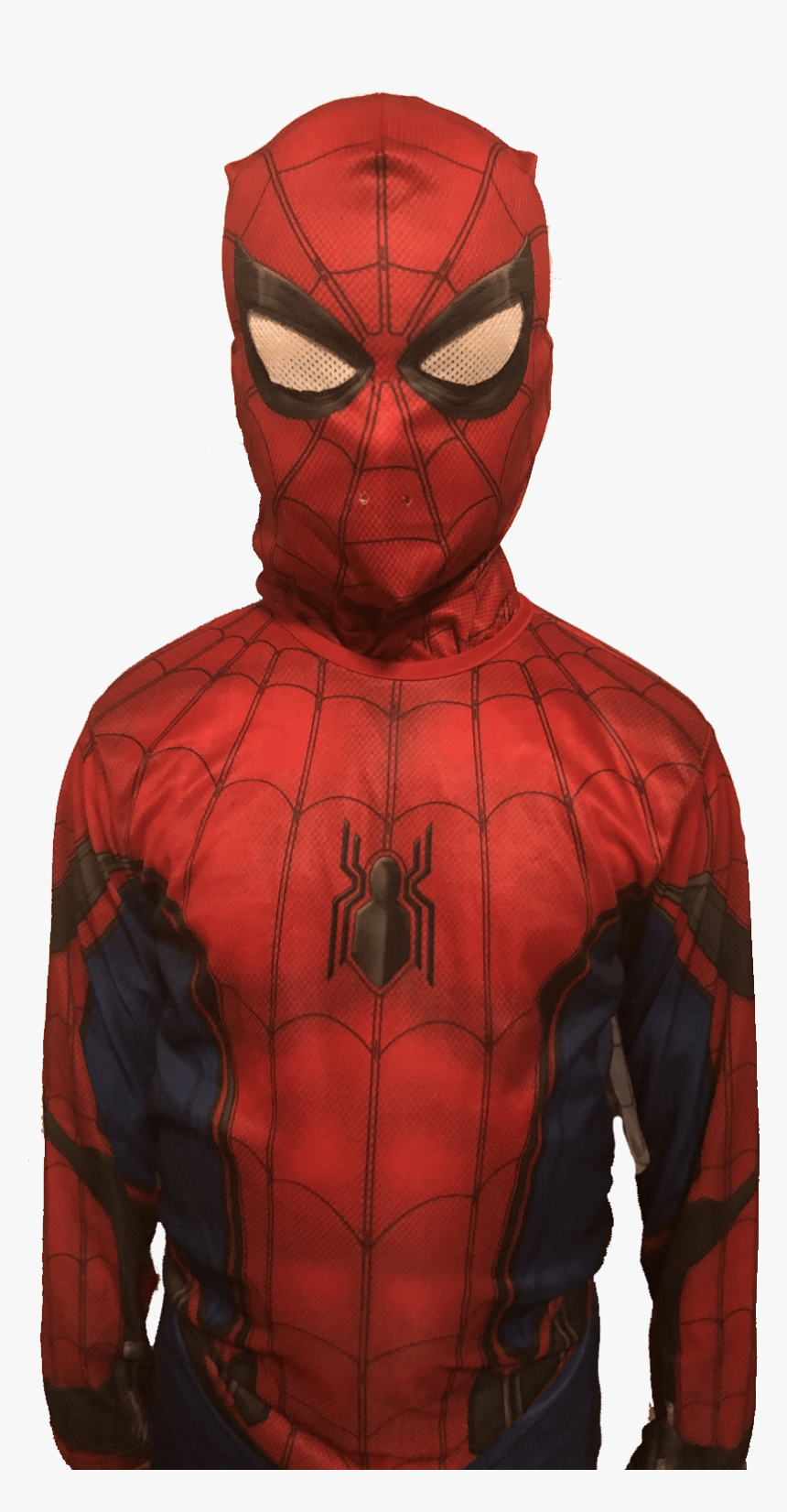 Spiderman Standing Up, HD Png Download, Free Download