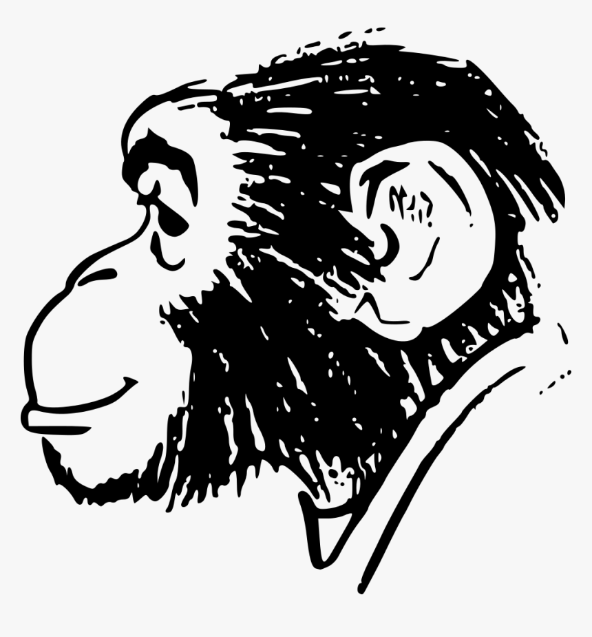 Monkey Head - Drawing Head Of Monkey, HD Png Download, Free Download