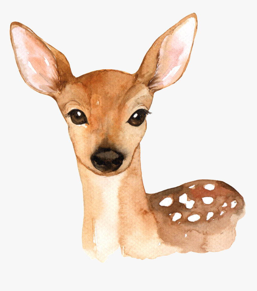 Hand Painted A Cute Deer Png Transparent - Watercolor Woodland Animals Png, Png Download, Free Download