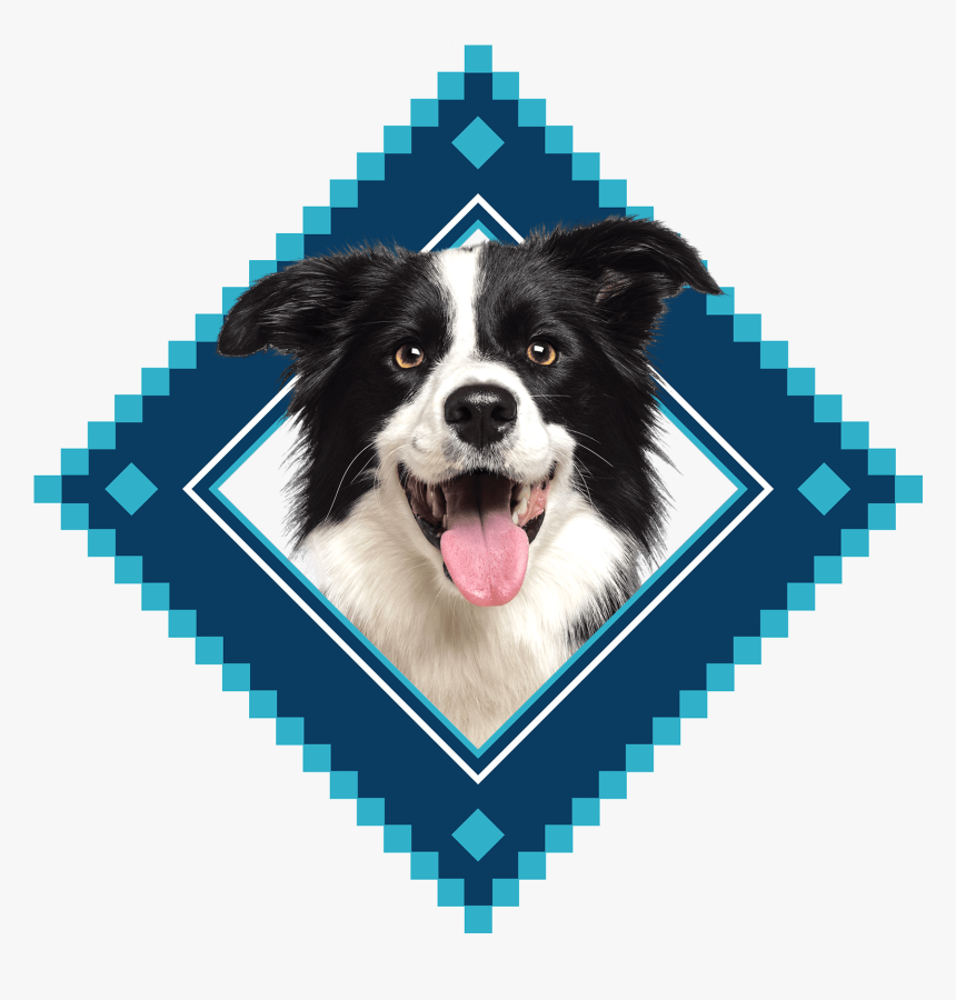 Placeholder Image - Blue Buffalo Pet Food Logo, HD Png Download, Free Download