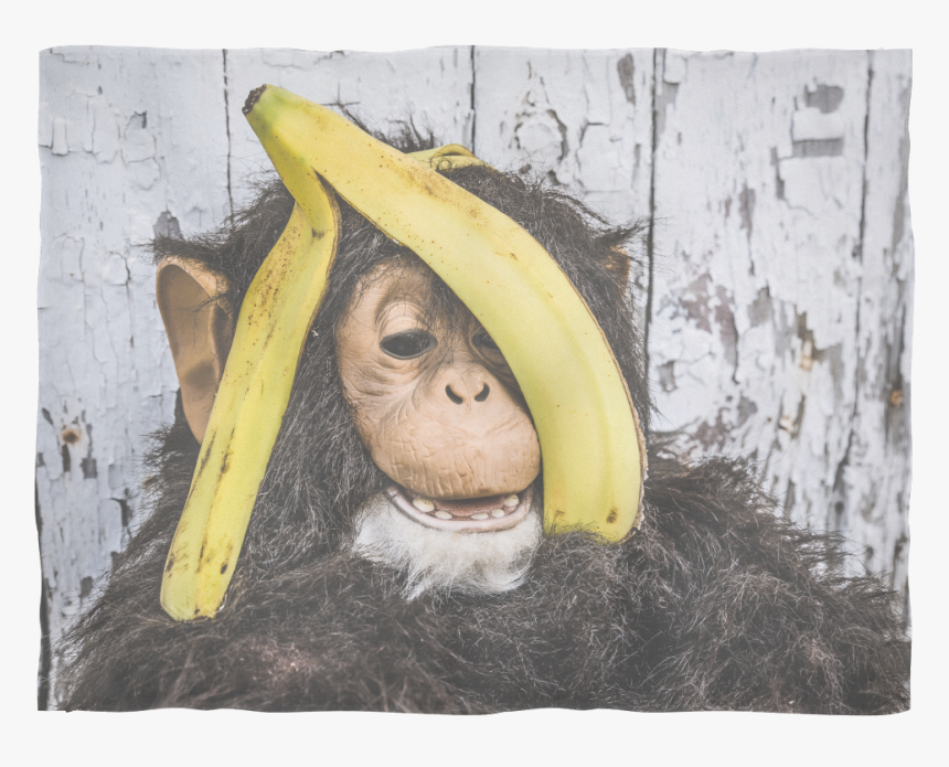 Smile Like A Monkey With A New Banana, HD Png Download, Free Download