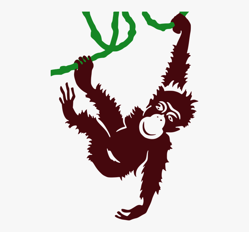 Animal, Ape, Cartoon, Hanging, Jungle, Keyword Pictures - San Diego Zoo Poster, HD Png Download, Free Download