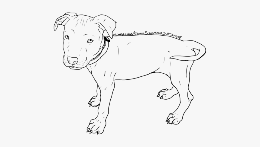 Pitbull Puppy Drawings Www Imgkid Com The Image Kid - Sketch, HD Png Download, Free Download