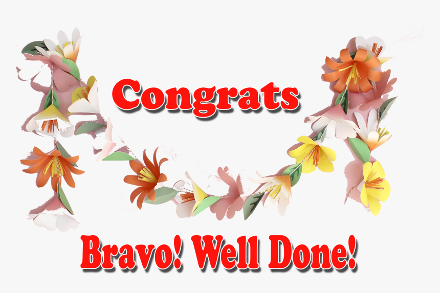 Congrats Bravo Well Done Png Transparent Image - Transparent Well Done, Png Download, Free Download