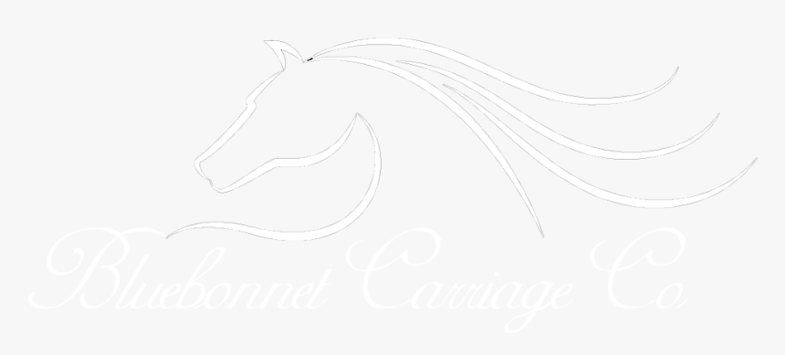 Bluebonnet Carriage Company - Stallion, HD Png Download, Free Download