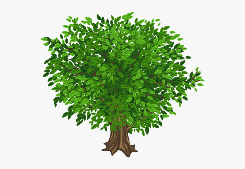 Ð‘ð¾ð»ñœñˆð¾ð¹ Green Tree Ðÿñ - Tree Images Without Background, HD Png Download, Free Download