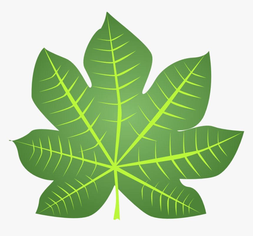 Transparent Daun Png, Png Download, Free Download