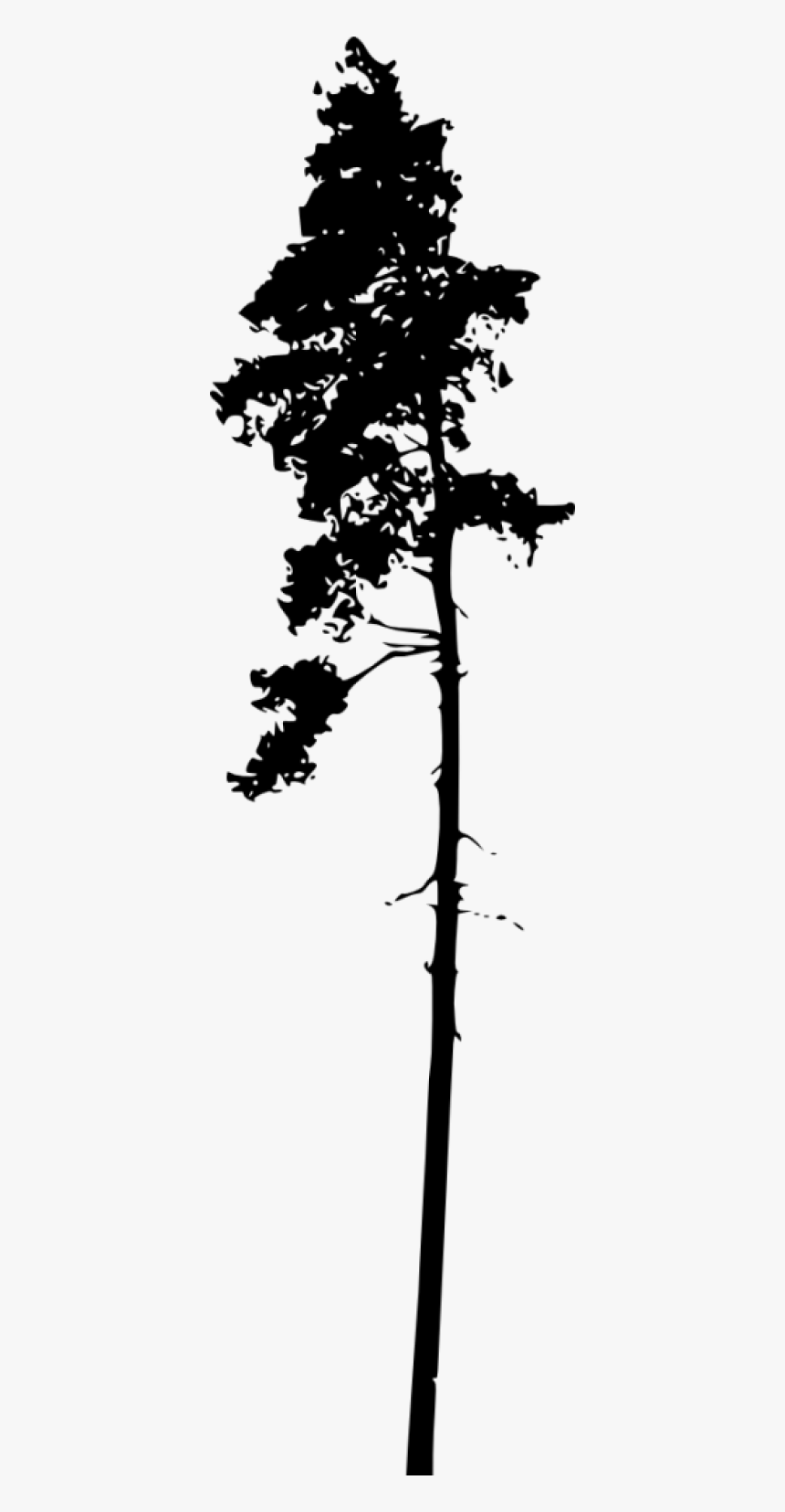 Dead Pine Tree Silhouette, HD Png Download, Free Download