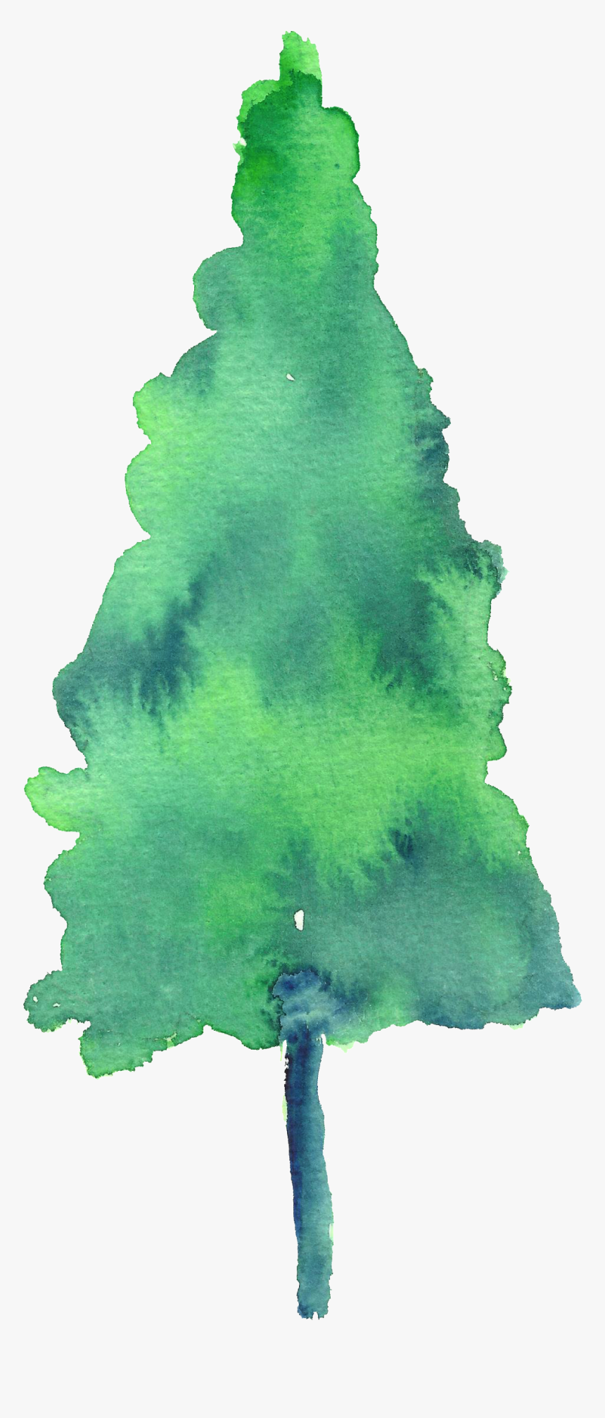 Painted Watercolor Pine Tree Decoration Vector Free - Painted Tree Transparent, HD Png Download, Free Download