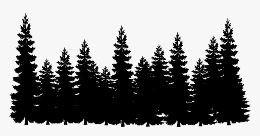 Shortleaf Black Spruce,balsam Fir,lodgepole Pine,tree,oregon - Transparent Pine Tree Silhouette, HD Png Download, Free Download