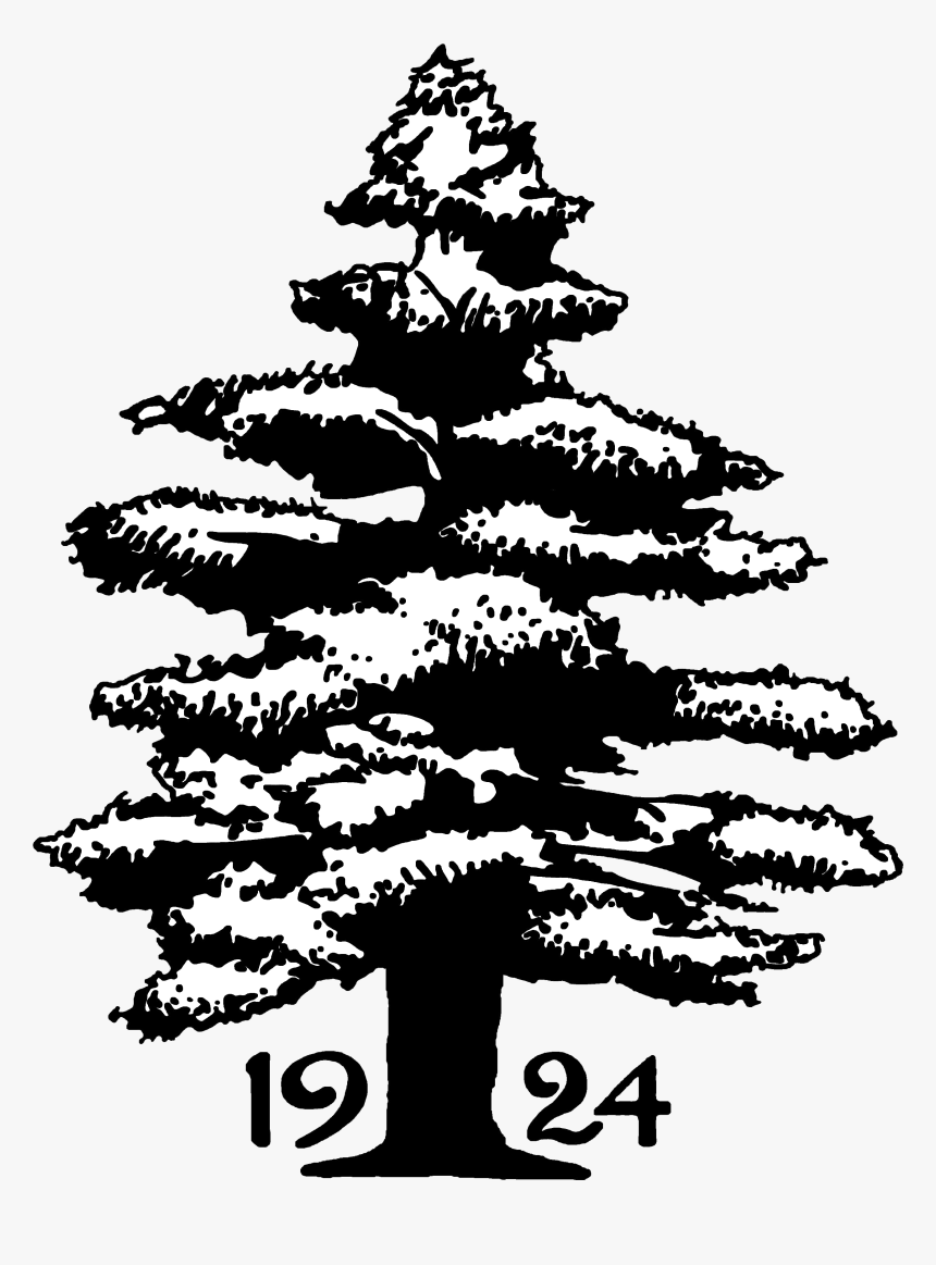 White Pine, HD Png Download, Free Download