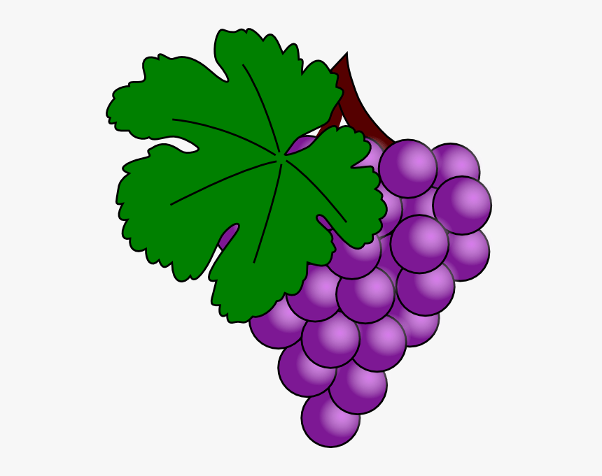 Thumb Image - Clip Art Grape, HD Png Download, Free Download