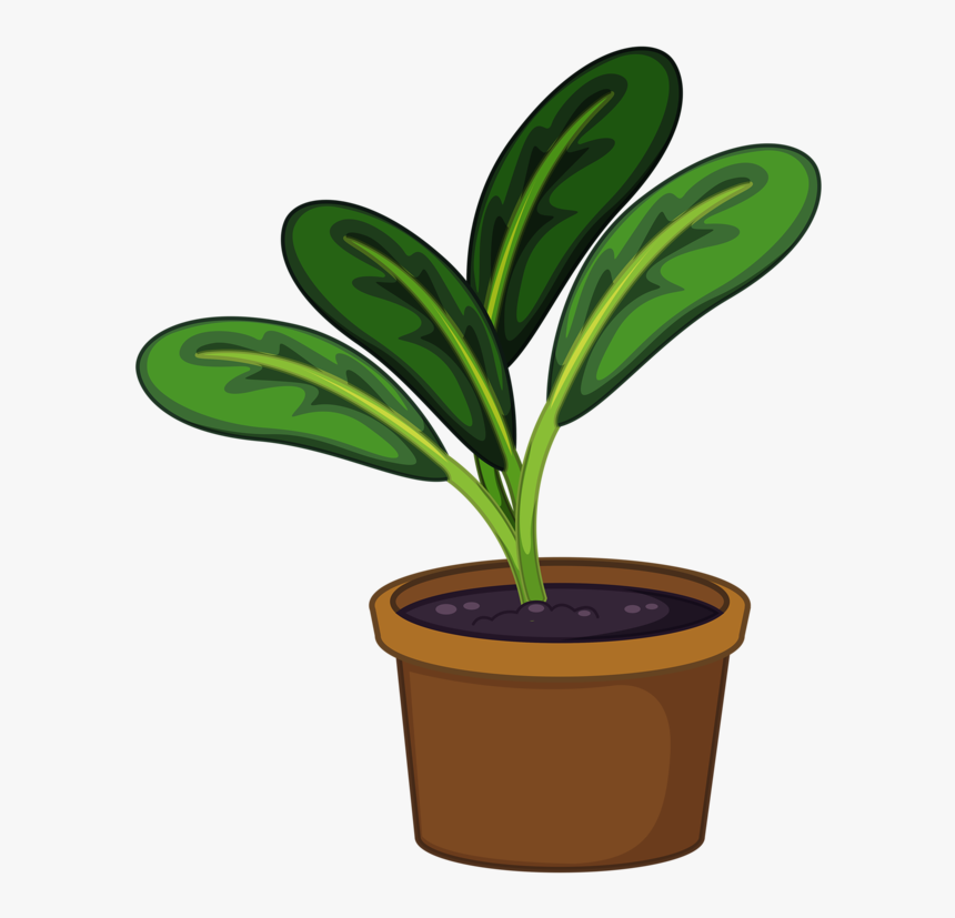 Cartoon Plant Png - Pot Plant Png Clipart, Transparent Png, Free Download