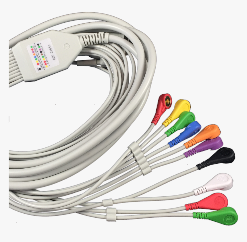 Electric Cable Download Png Image - Ethernet Cable, Transparent Png, Free Download