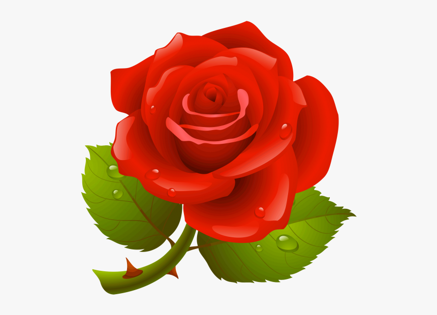 Rose Png - Rose Image Hd Download, Transparent Png, Free Download