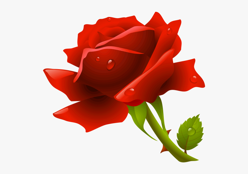 Red Rose Png - Red Roses Png, Transparent Png, Free Download