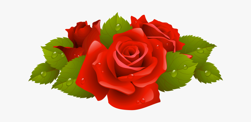 Rose Png, Transparent Png, Free Download