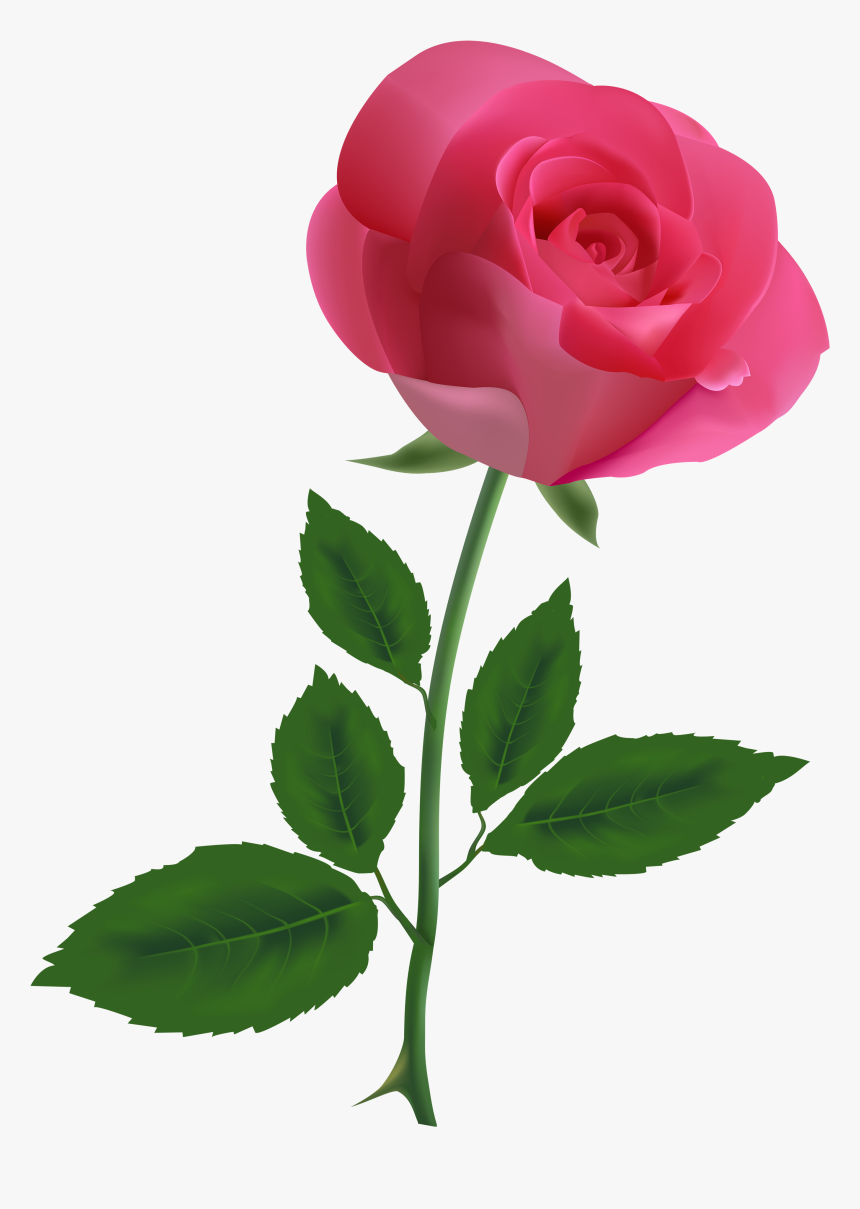 Transparent Rose Png - Pink Roses Transparent Background, Png Download, Free Download