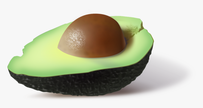 Fun Facts On Avocados, HD Png Download, Free Download