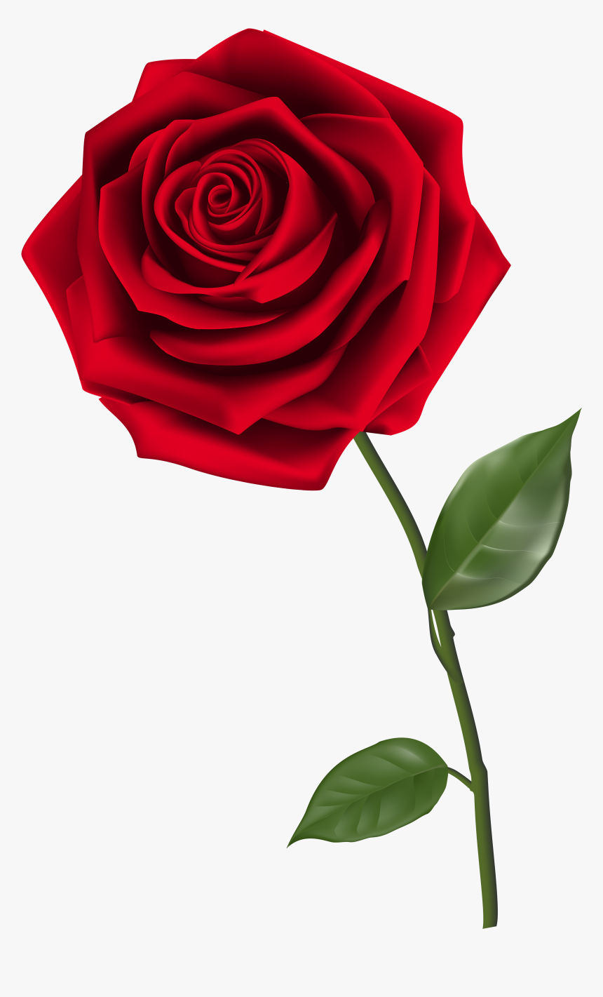 Single Red Rose Png Clipart Image - Transparent Rose Png, Png Download, Free Download