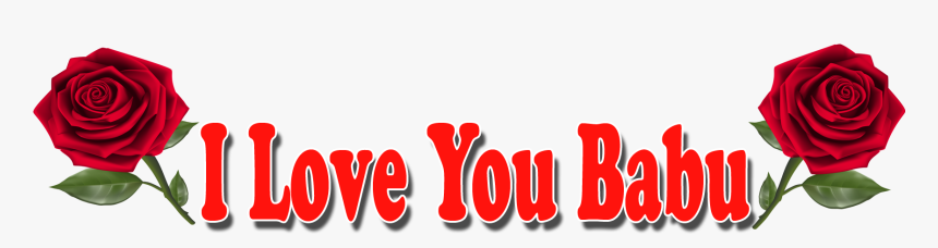 I Love You Babu Red Rose Png - Garden Roses, Transparent Png, Free Download