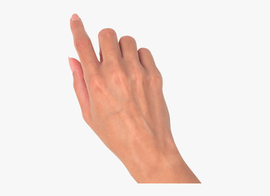 Hand png. Рука сверху. Рука вид сверху. Женская рука сверху. Рука с кистью на прозрачном фоне.