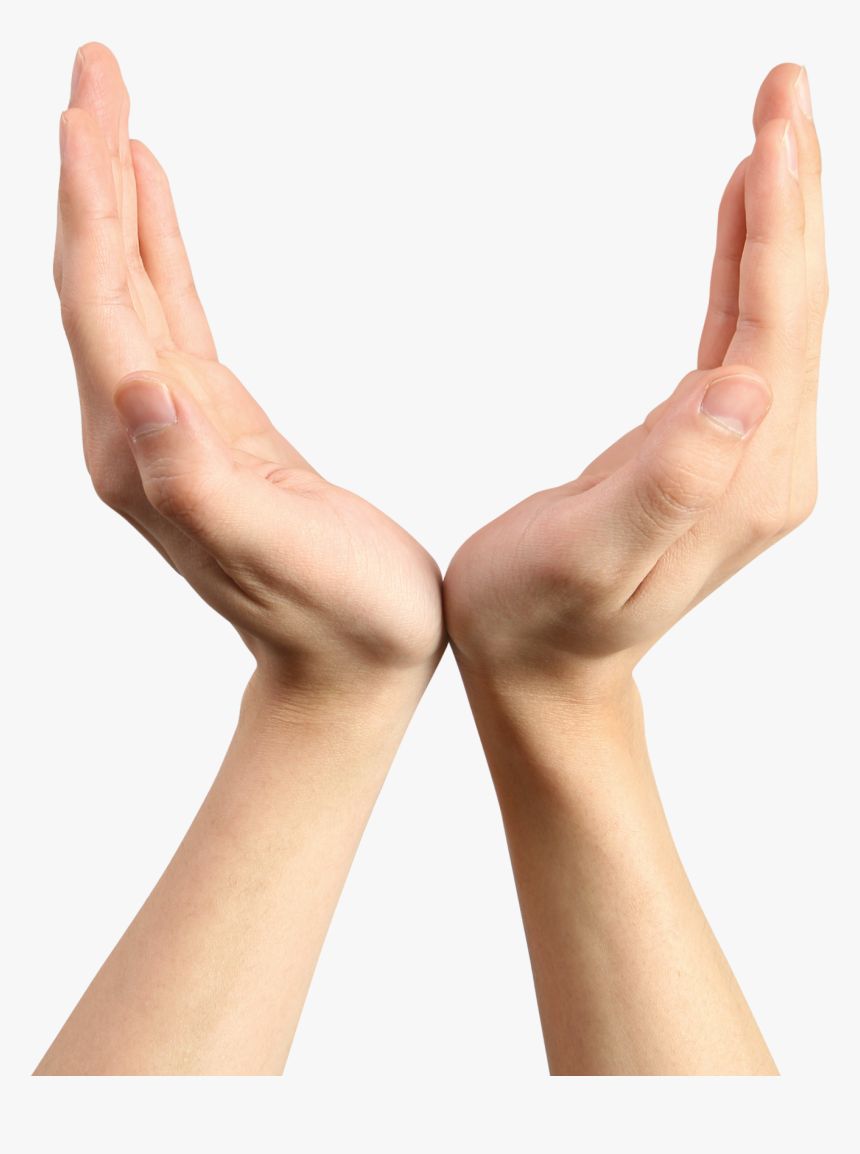 Hands Png, Transparent Png, Free Download