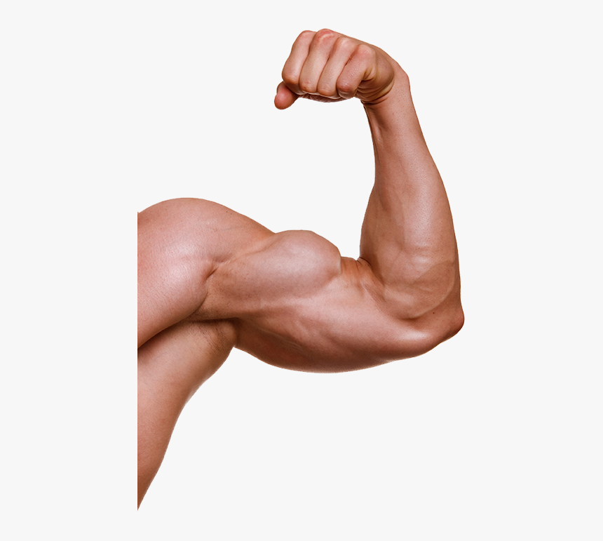 Muscle Hand Png Image With Transparent Background - Transparent Background Muscle Png, Png Download, Free Download