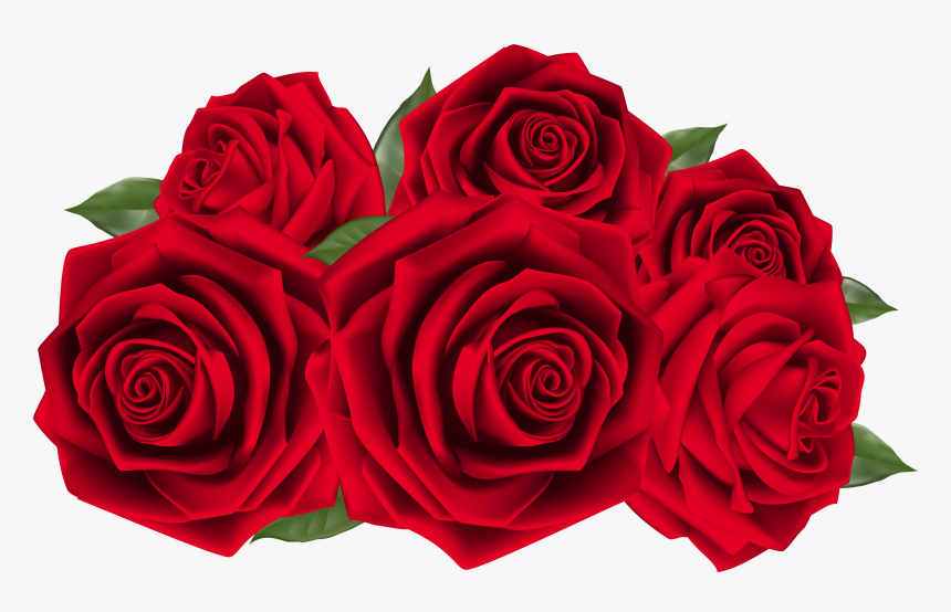 Rose Cliparts Transparent Full Size - Red Roses Hd Png, Png Download, Free Download