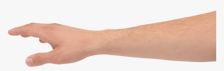 Hand Grabbing Transparent Background - Hand Png, Png Download, Free Download