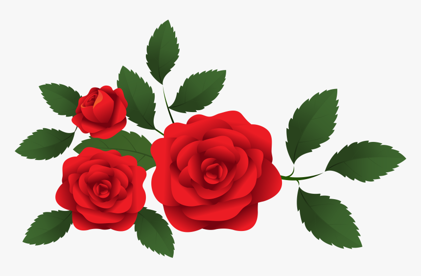 Transparent Beauty And The Beast Rose Clipart - Red Roses Clip Art, HD Png Download, Free Download